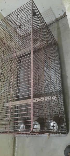 Grey Parrot & Pahari Breeding Cage/Pinjra for Sale 0
