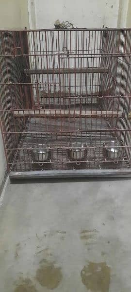 Grey Parrot & Pahari Breeding Cage/Pinjra for Sale 1