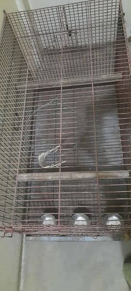 Grey Parrot & Pahari Breeding Cage/Pinjra for Sale 2