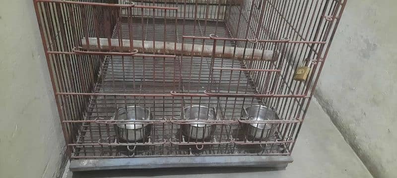 Grey Parrot & Pahari Breeding Cage/Pinjra for Sale 3