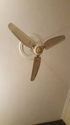 Royal Deluxe Regent celling fan