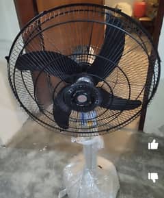 Royal Pedestal Fan