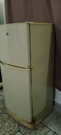 PEL Refrigerator