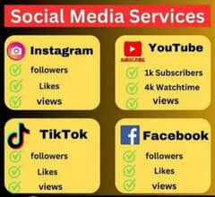 Social media services YouTube tik tok Insta Facebook