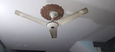 pak fan for sale very less used and in very good condition.