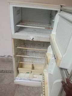 PEL large size fridge for sale 0