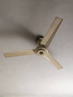 Ceiling Fan 56" Working Condition No Fault 0
