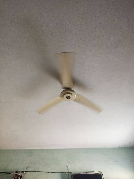 Ceiling Fan 56" Working Condition No Fault 1