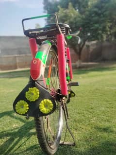 sohrab cycle | cycle