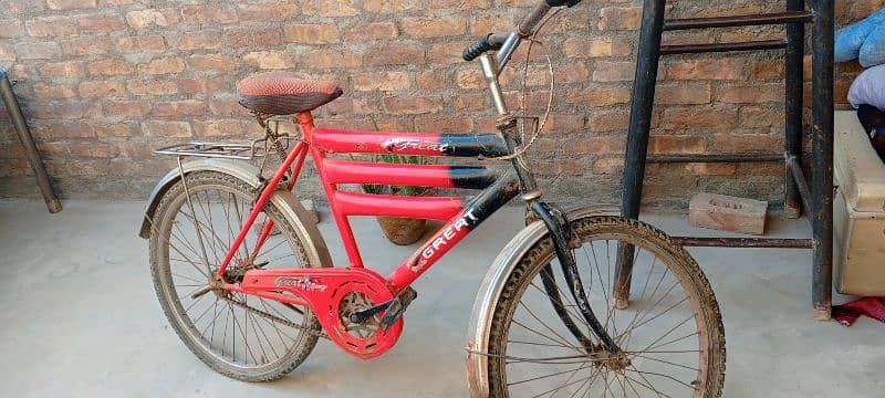 Great Red bicycle 2