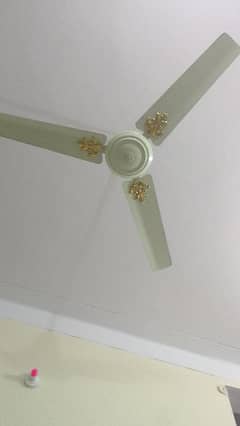 gfc ceiling fan 56 "