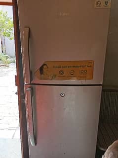 Haier medium size Refrigerator
