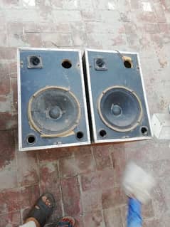 10 inch speakers with jale