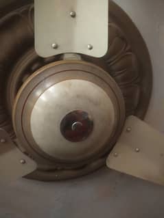 ceiling fan new condition