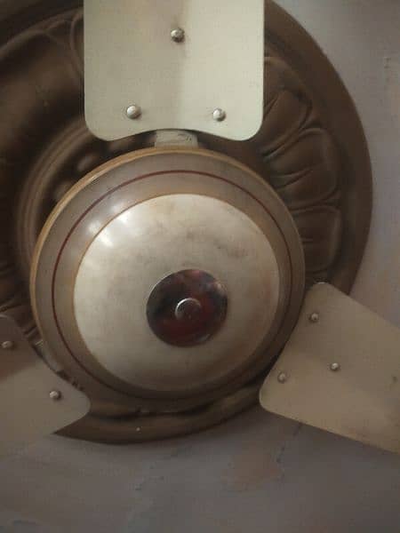 ceiling fan new condition 0