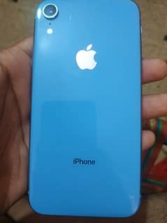 iPhone xr