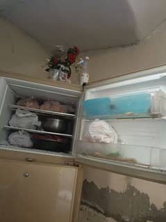 Pel Fridge