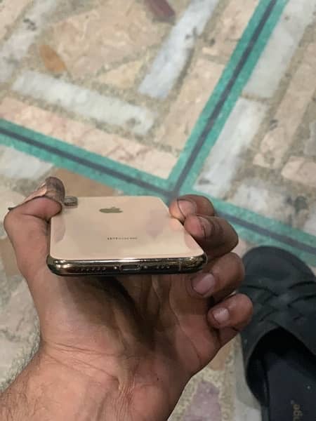 iphone xs golden dual pta 3