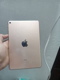 iPad Mini 5 all okay hai 64 GB