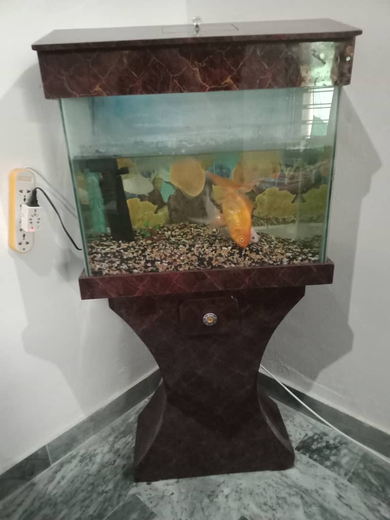 Fish Aquarium with 2 goldfish & filter pump for sale 0