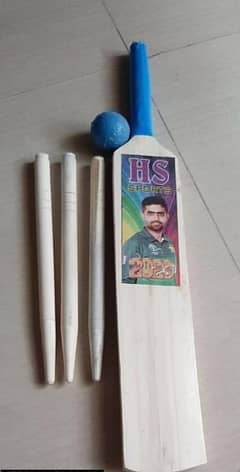 Cricket Set with Wicket Ball and bat