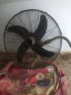 beraket fan