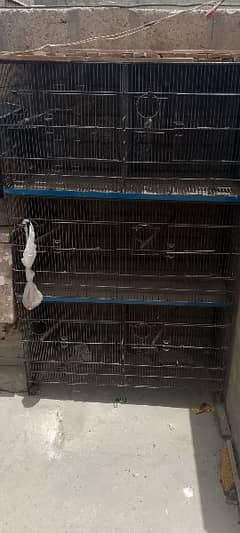 6 portion folding cage