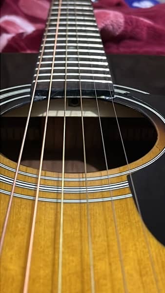 Professional acoustic guitar jumbo size 5