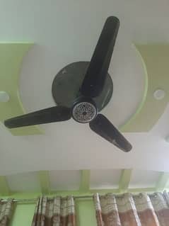 Fan for sale