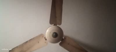 Pak fan Celling fan