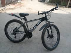 Mountain bicycle