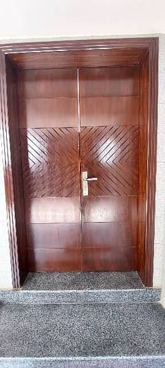 CNC Design Semi solid Door