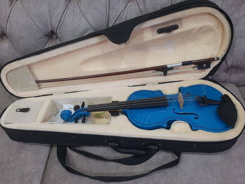 Violin completely wooden with all accessories 3