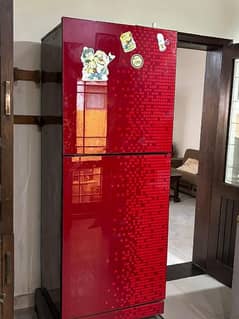 PEL Glass Door Full Size Fridge