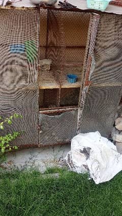 hen cage for sale