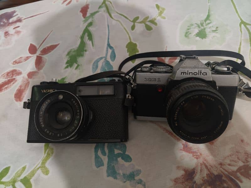 Yashica and Minolta camera 1