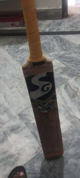 Cricket Bat hardball 1