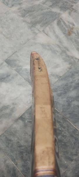 Cricket Bat hardball 3