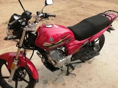 yamaha yb125z dx