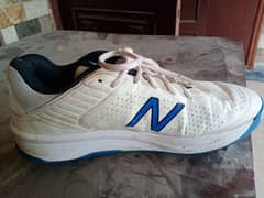 Cricket spikes /cricket shoes /NB brand