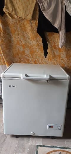 haier big freezer