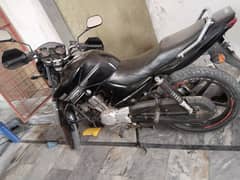 ybr125