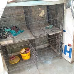 4 portion cage for sale