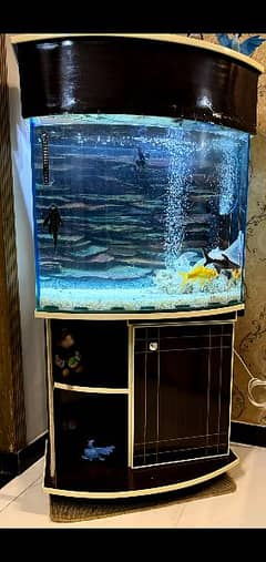 aquarium in excellent condition