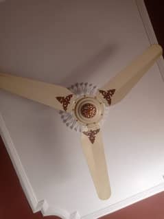 Fancy Ceiling Fan 0
