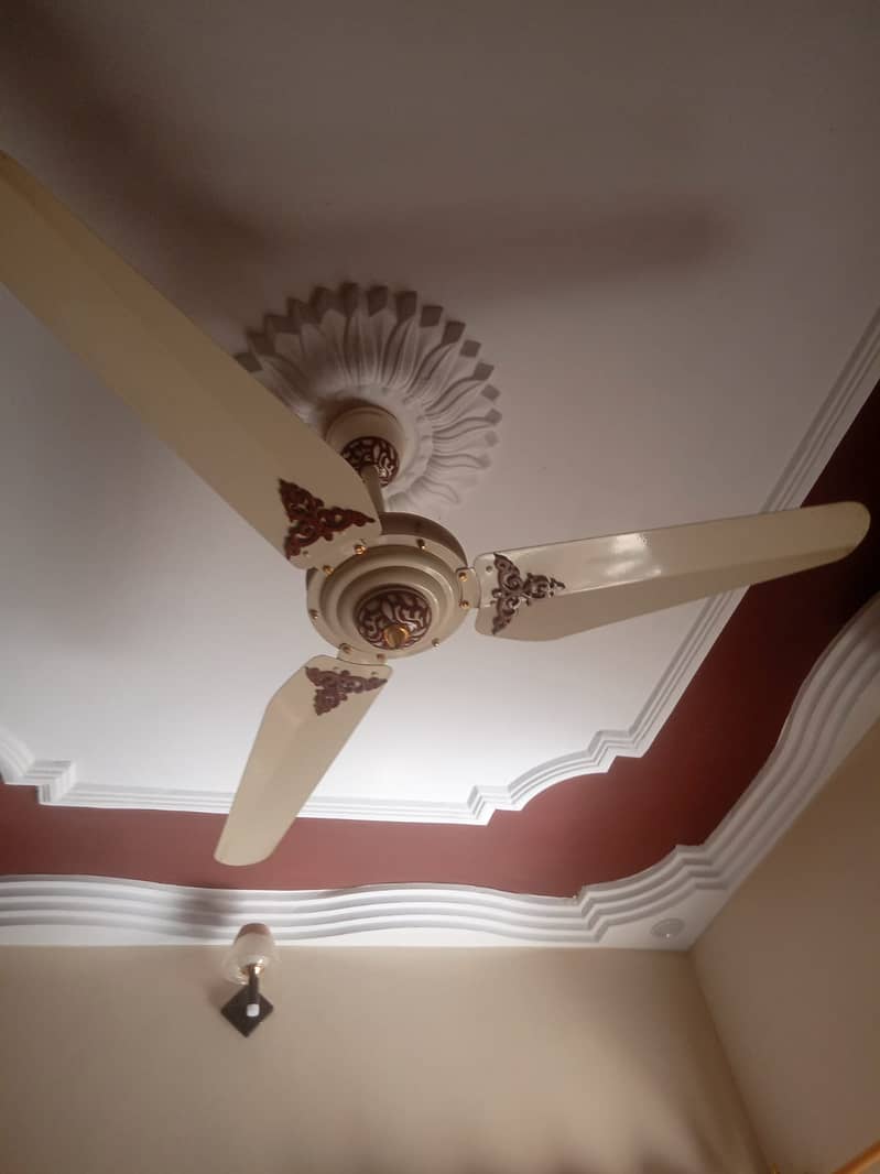 Fancy Ceiling Fan 1