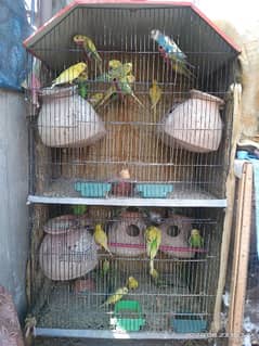 cage for sale wd budgies