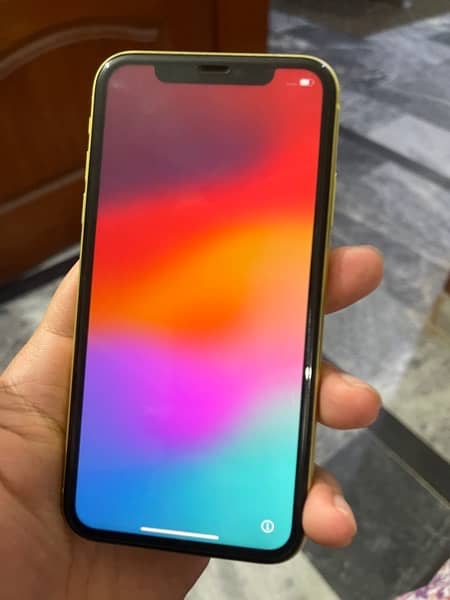 Iphone 11 64gb Non PTA 2