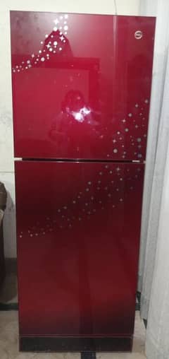 pel medium size fridge just like new