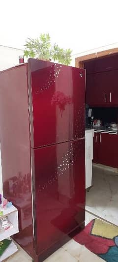 PEL Large size maroon glass door refrigerator